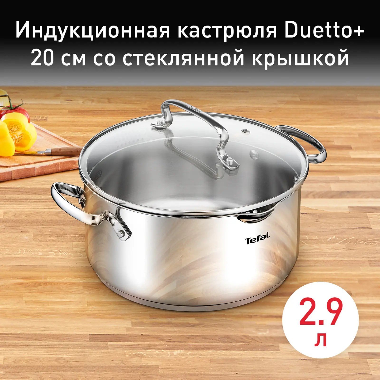Duetto+ 2.9 л 20 см G7194456 