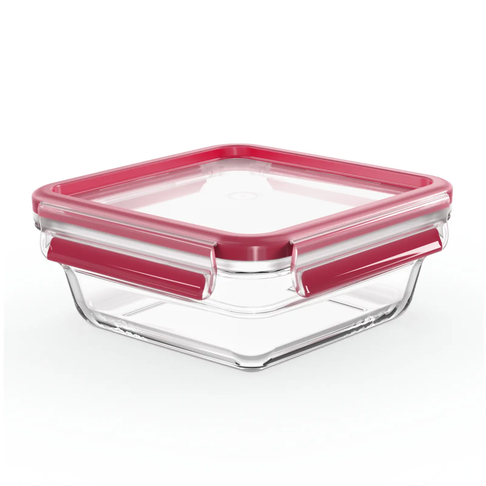 Masterseal Glass N1041410