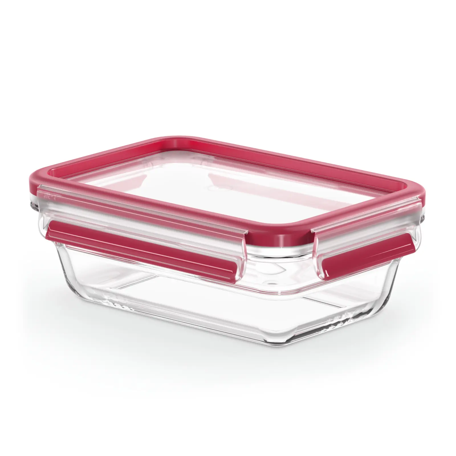 Masterseal Glass N1040610