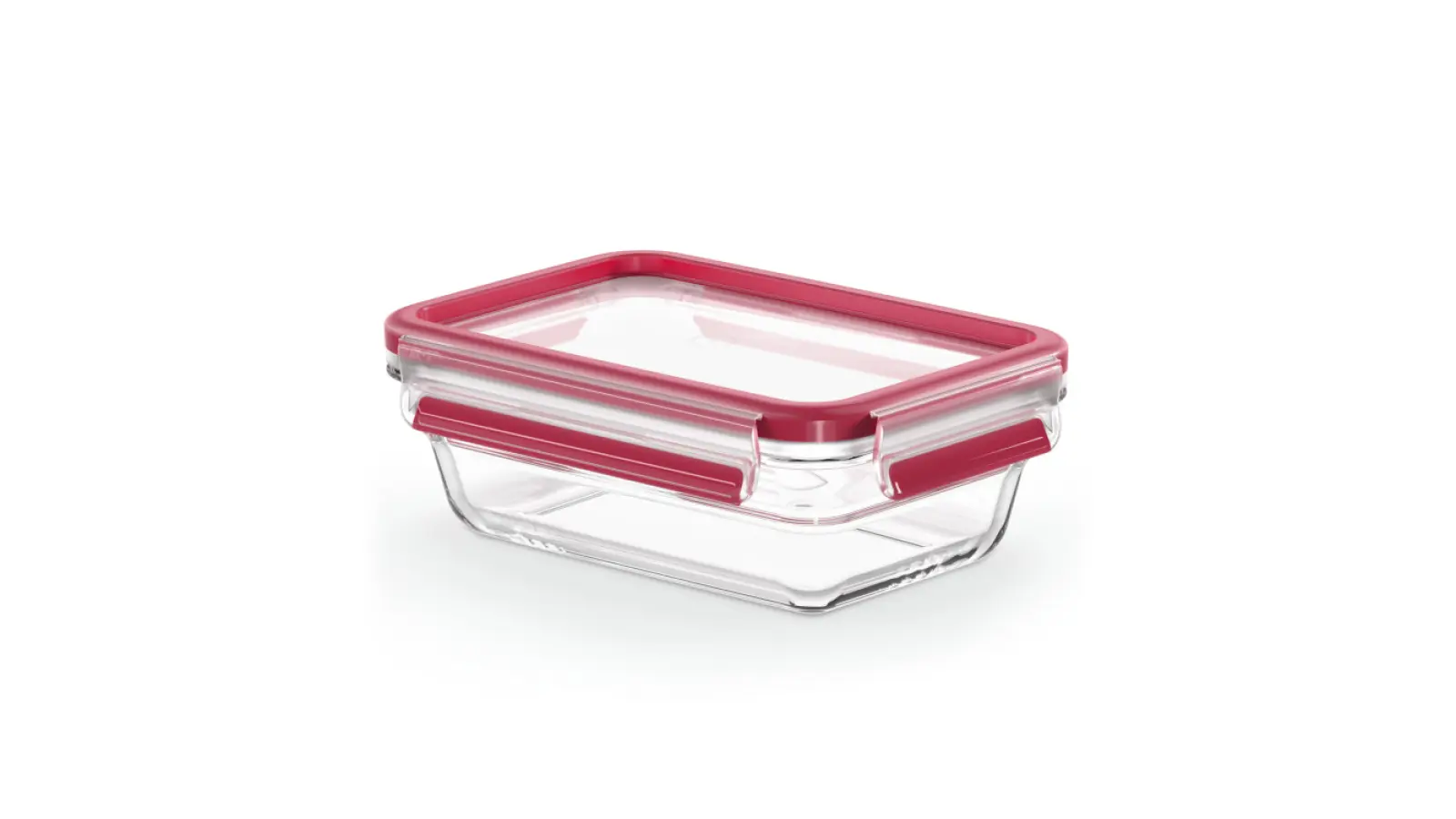 Masterseal Glass N1040610