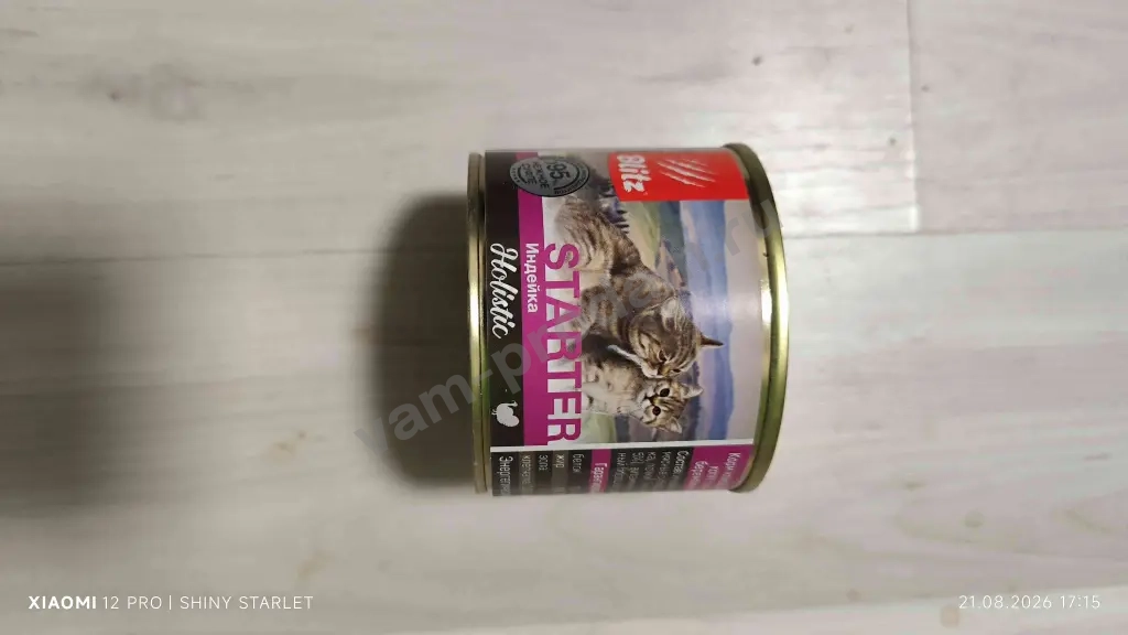 Стартер для котят Блиц