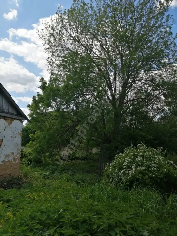 Дом 35 м² на участке 44 сот., Поселений (ИЖС)