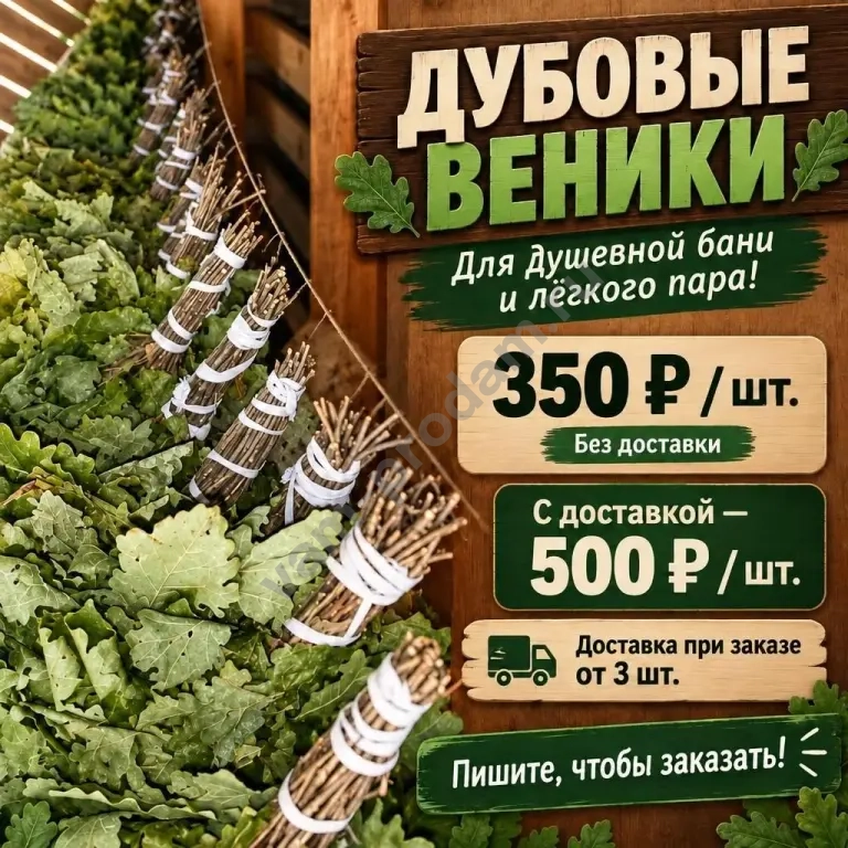 веники дубовые