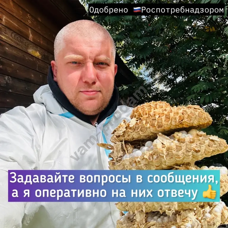 Уничтожение клопов тараканов блох обработка от крыс Дезинфекция