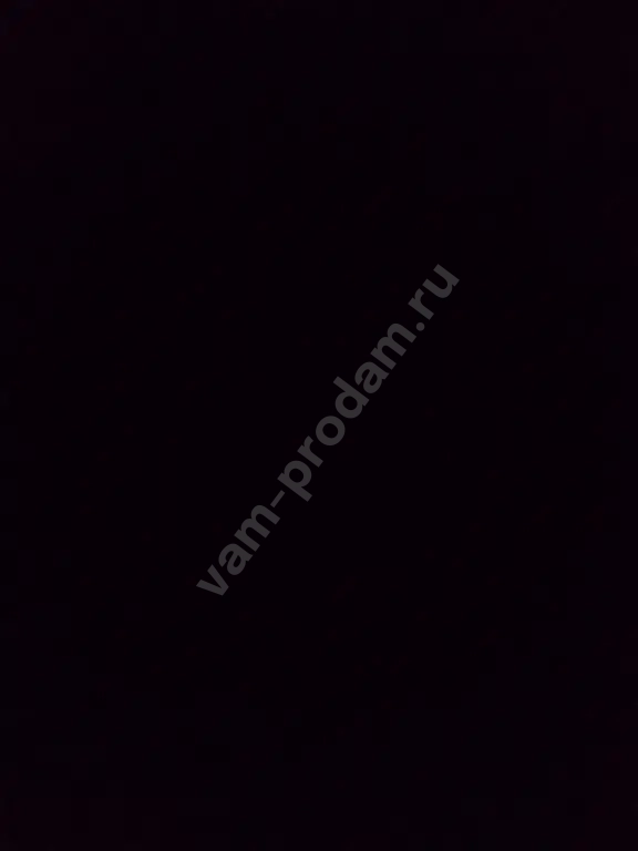 возьму в добрые руки животных