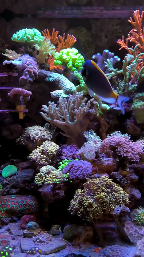 Любимое море, одно из