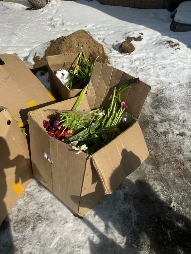 Все тюльпаны в огромных количествах повыбрасывали на мусорки после праздника. Мо…