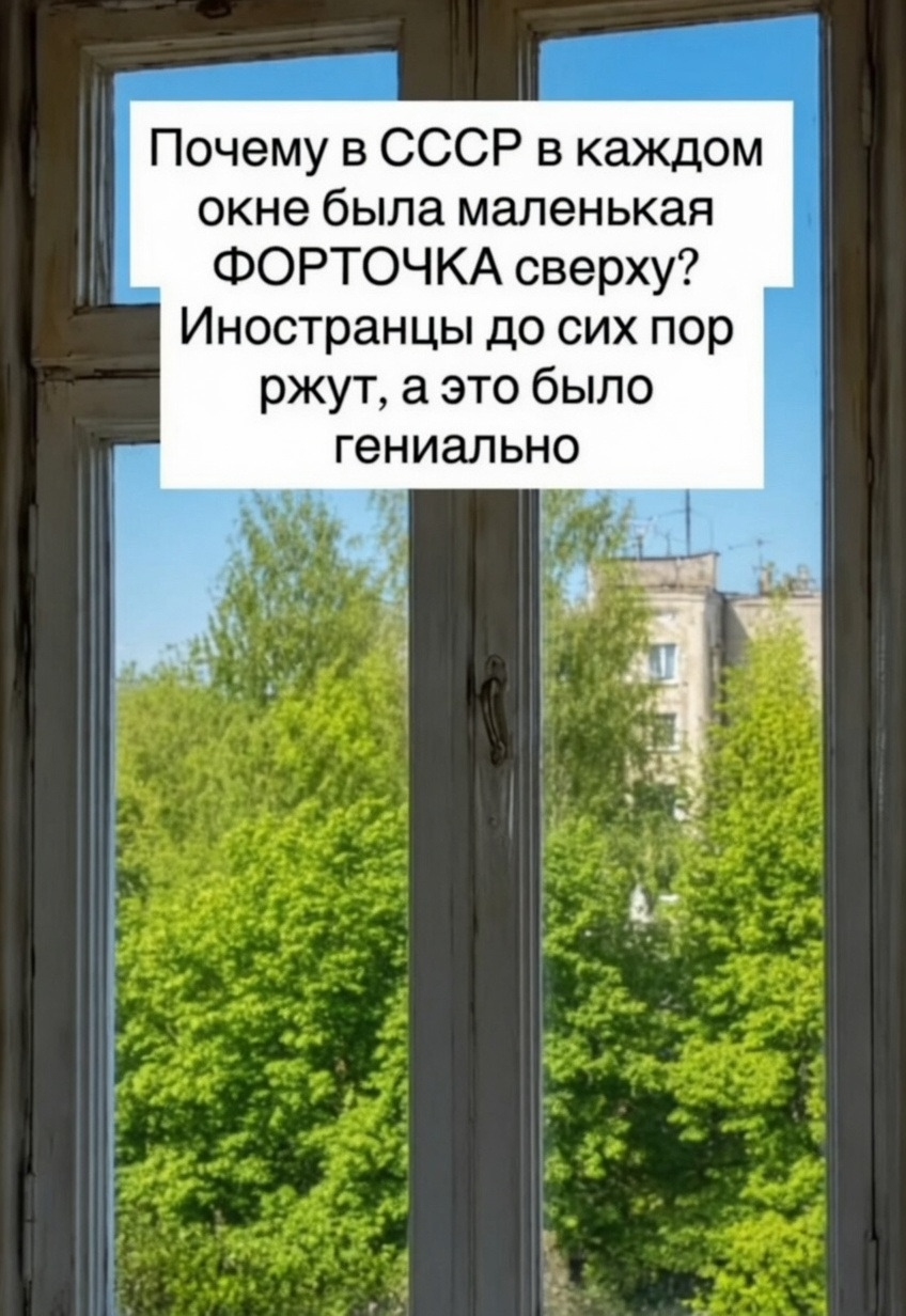 Над советской форточкой смеялись. А зря. 
 
Иностранцы крутили пальцем у виска: …