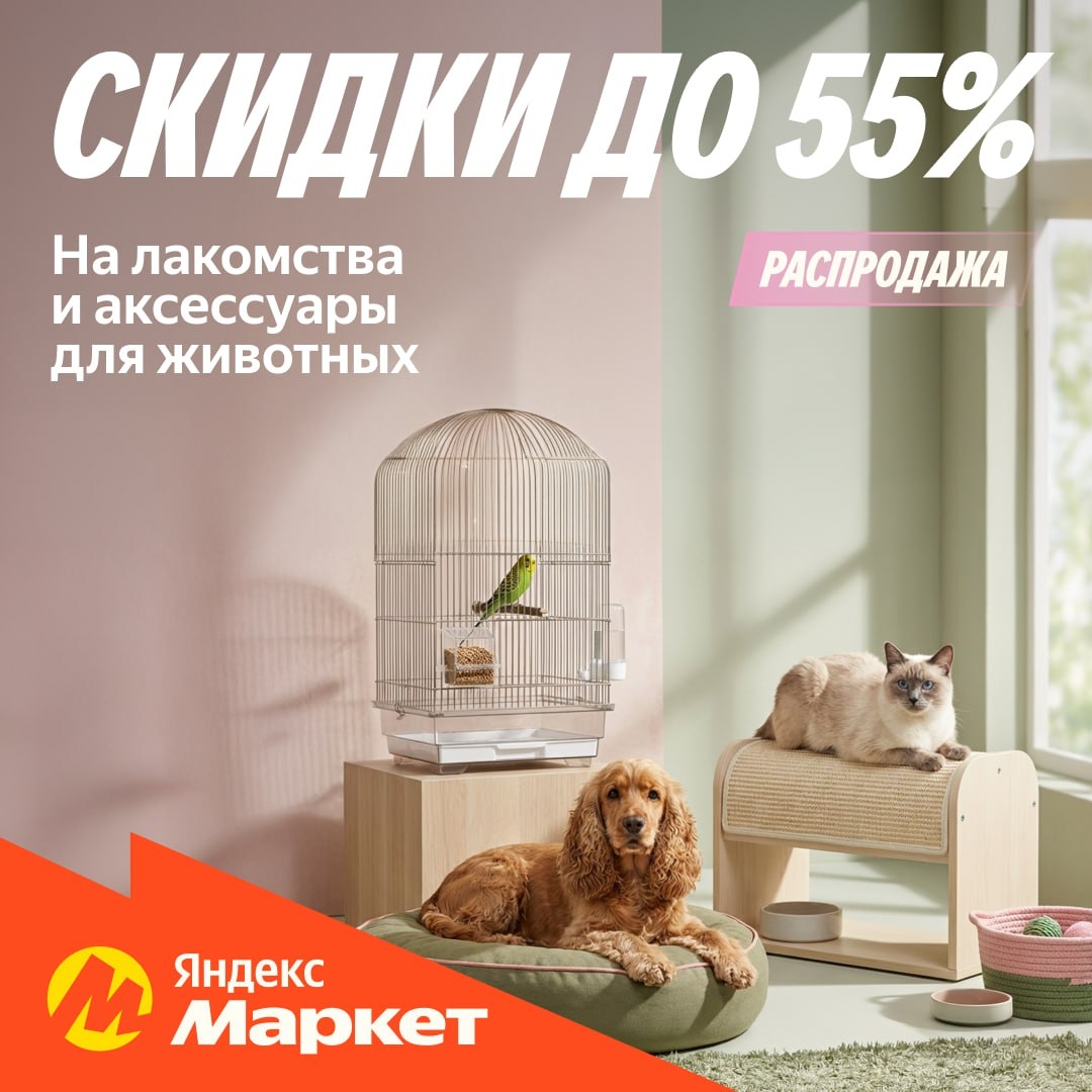 🧸 Февраль 🧸

А вы не забыли признаться в любви своим пушистикам?

Ещё есть вре…