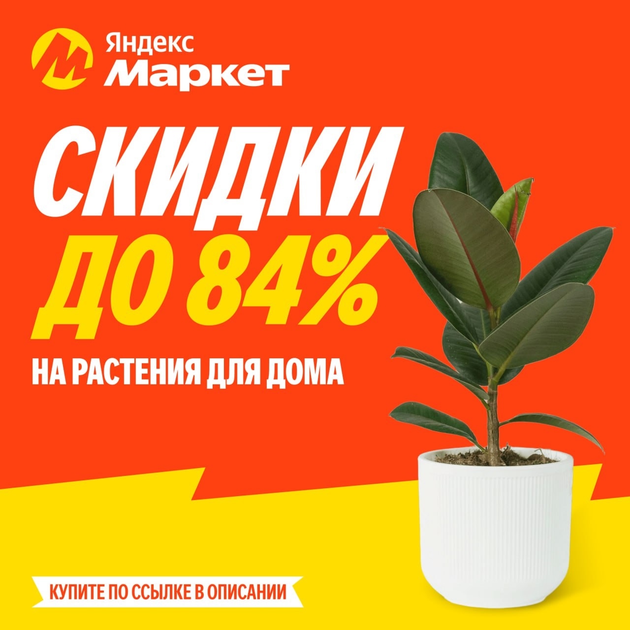 🧸 июль 🧸

Здесь начинается ваш путь к зелёной квартире 🥬🟩

Превратите свою г…