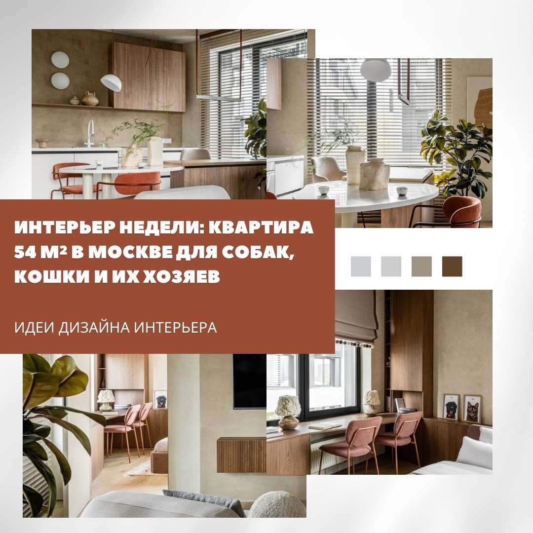 Новый проект можно сравнить с большой книгой о семейной жизни — уютной, доброй и…