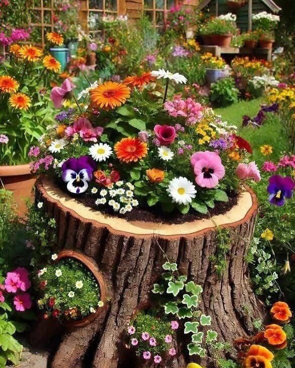 Свежие варианты оформления клумб и цветников 🌸🌱