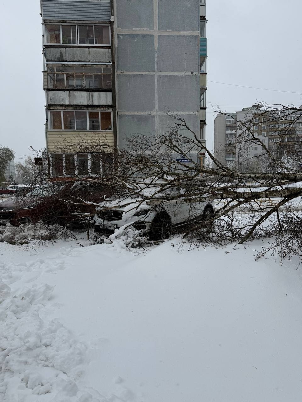 "Добрый день! Пожалуйста, скажите что делать? Вчера во время непогоды на нашу ма…