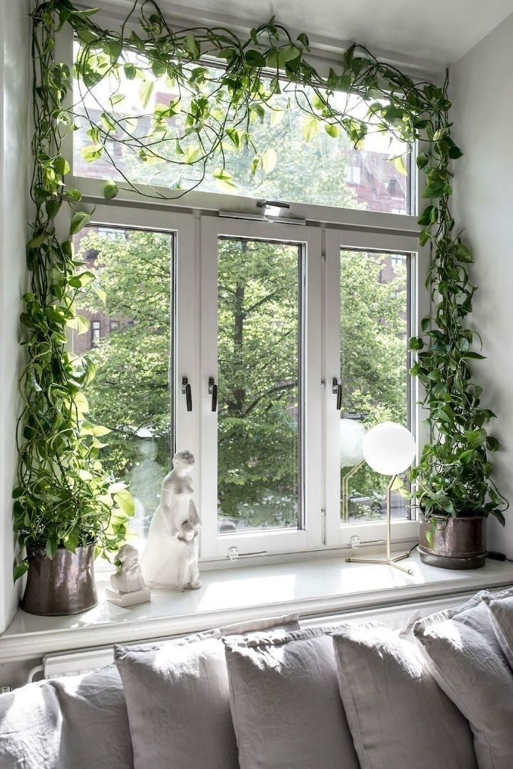 Когда любимый цветок становится частью интерьера