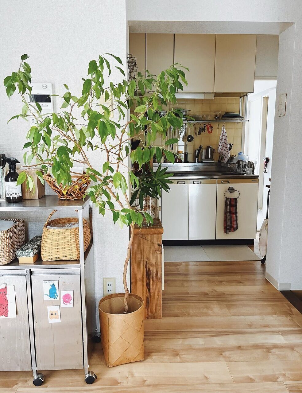 Все выглядит очень симпатично🌿