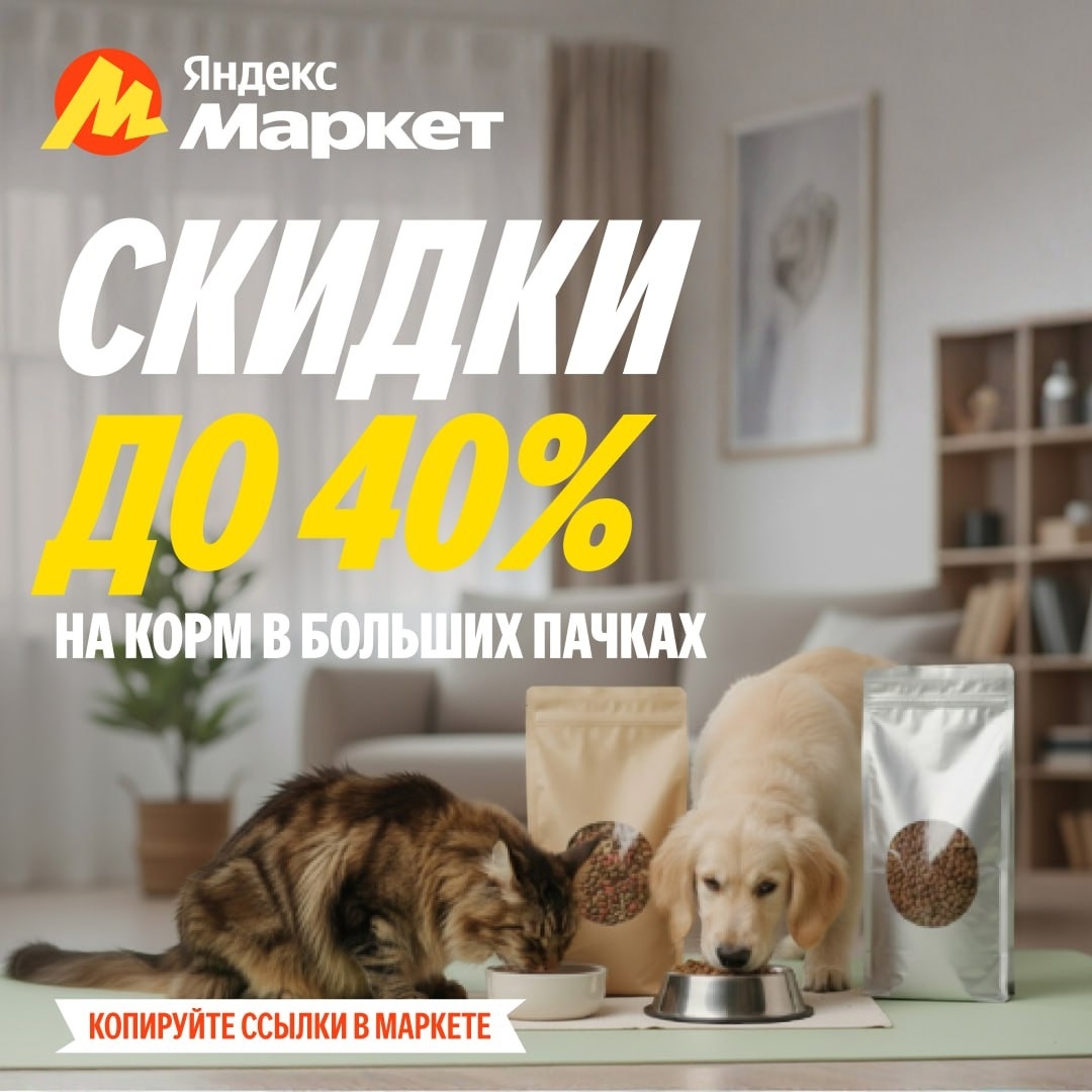 🧸 Декабрь 🧸
Хвостики замерли, будто что-то почуяли… 👀

И угадайте что? Правил…
