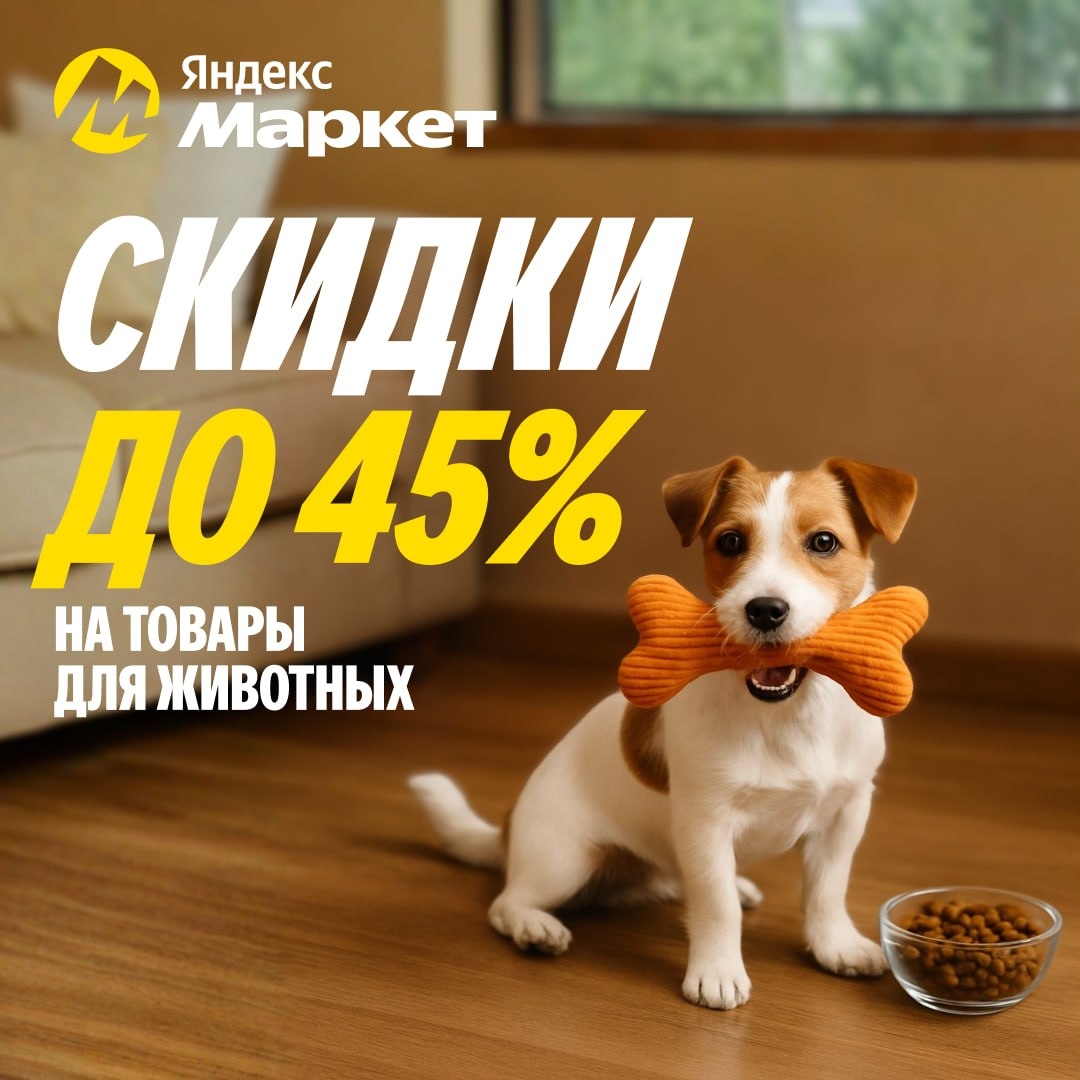 🧸Ноябрь 🧸

Питомцы узнали про скидки до 45% (https://market.yandex.ru/cc/85JMC…