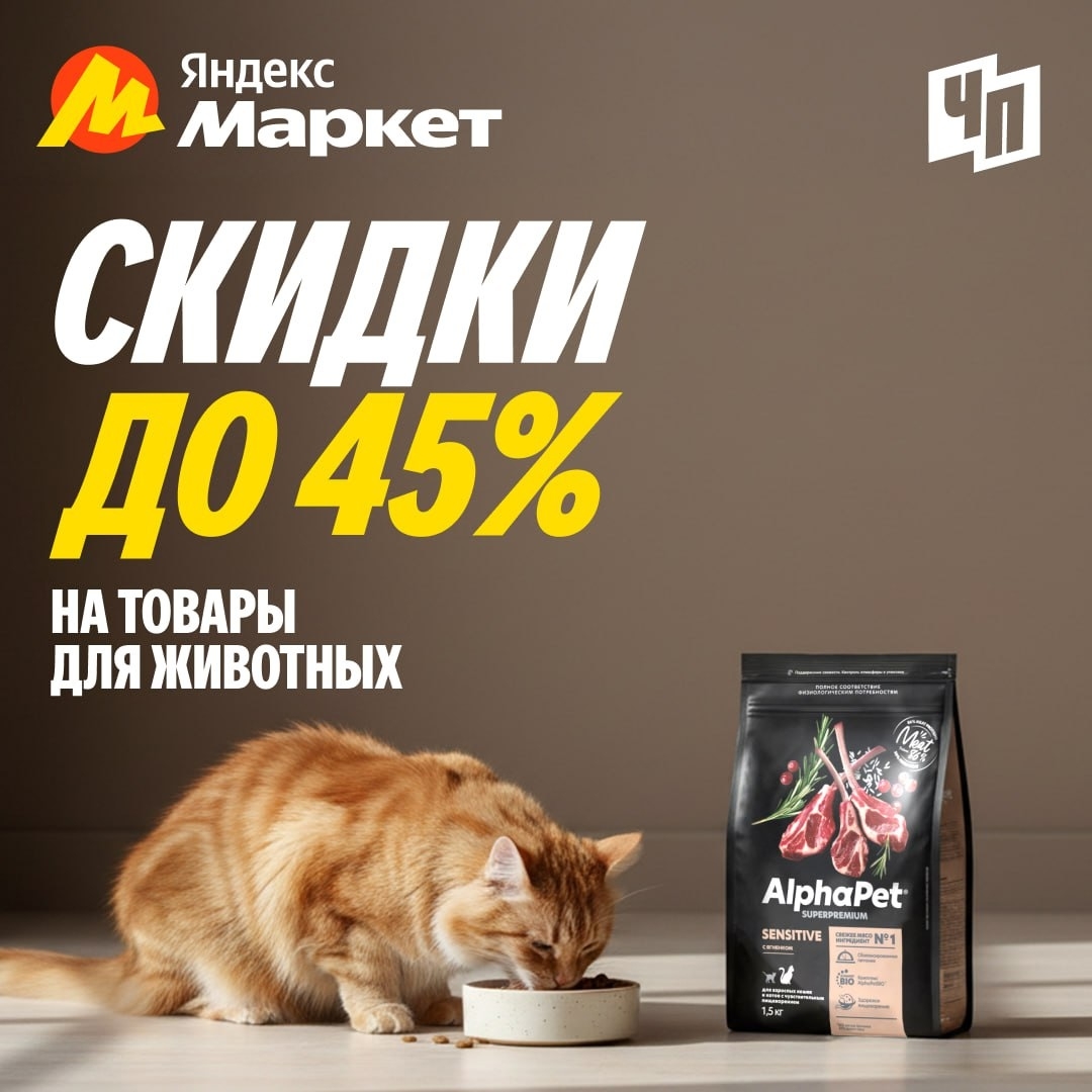 🧸Ноябрь 🧸

Как можно отказать этим большим глазкам и пушистым хвостиками в ски…