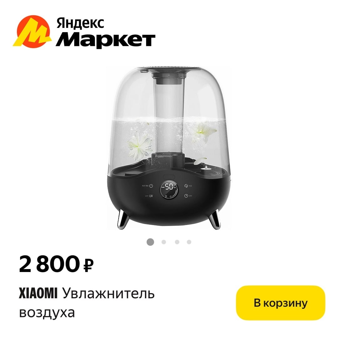 🧸  Октябрь 🧸

Можно вечно смотреть на уличную серость и сырость — из квартиры …