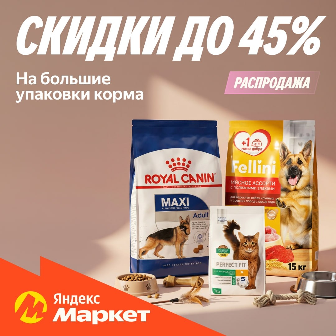 Если вы приложите ухо к пушистому животику вашего питомца, то услышите, как он у…