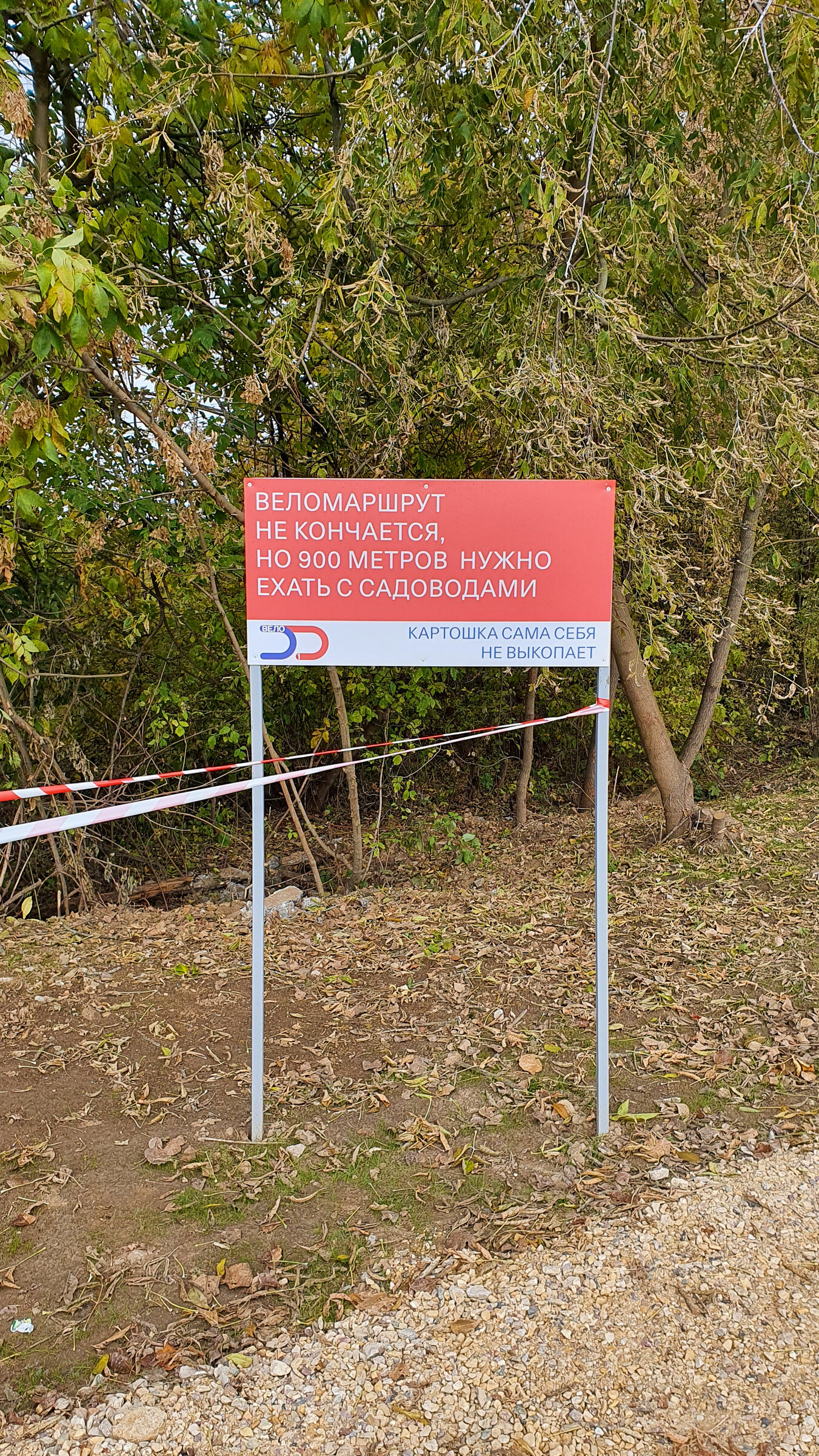 Знак на асфальтированной части, совмещённой с автомобильной дорогой