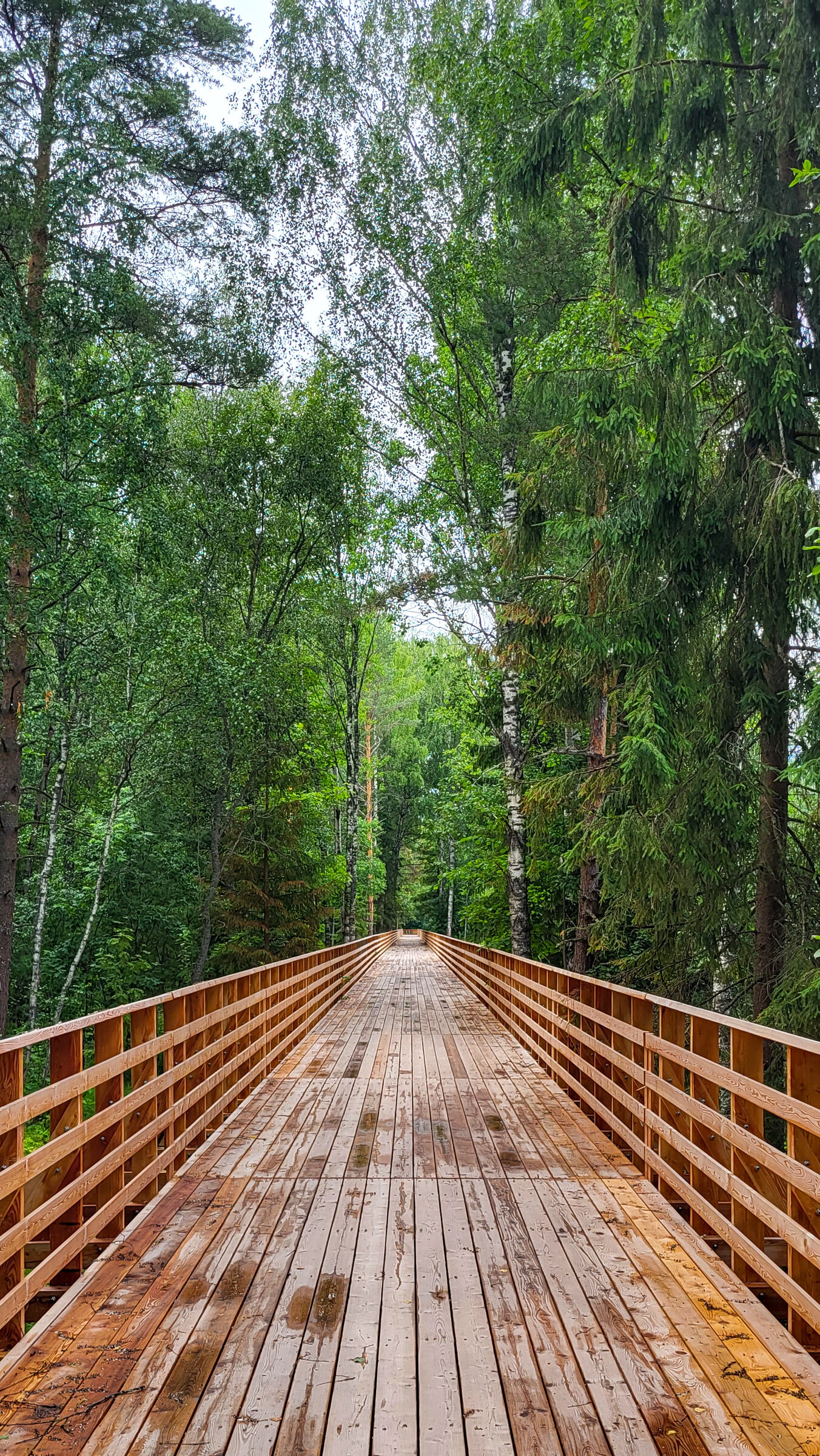 Деревянный настил в районе шлюза №2