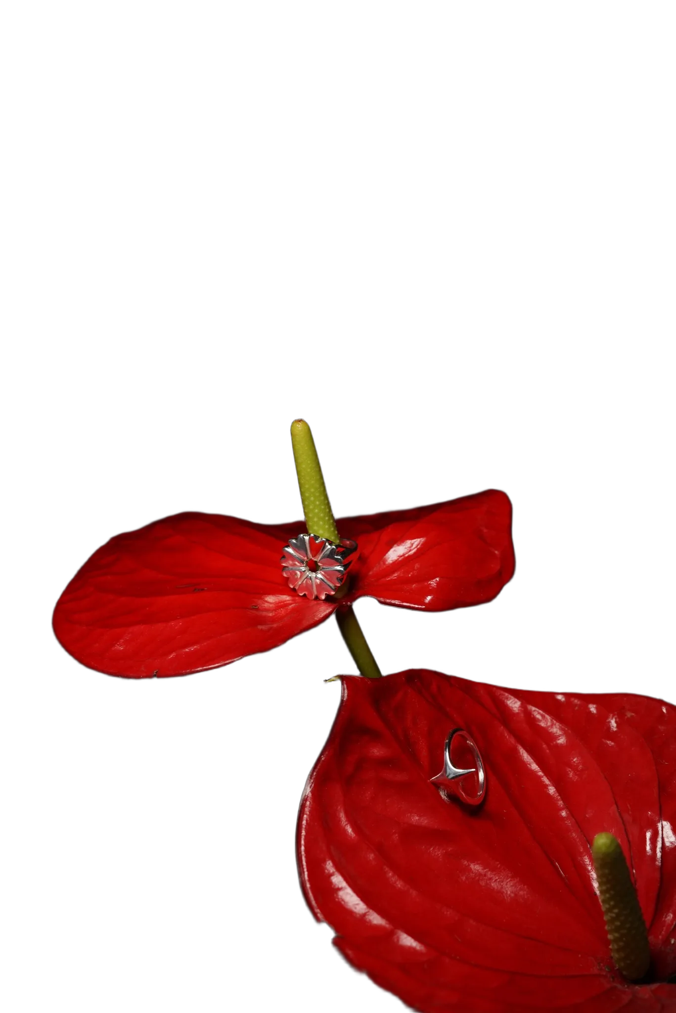 кольцо-печатка FLOVER с красной эмалью