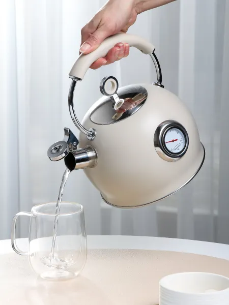 DaniksЧайник нержавеющая сталь 3 л, со свистком, матовый, с датчиком температуры