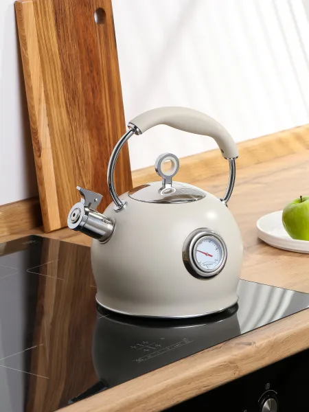 DaniksЧайник нержавеющая сталь 3 л, со свистком, матовый, с датчиком температуры