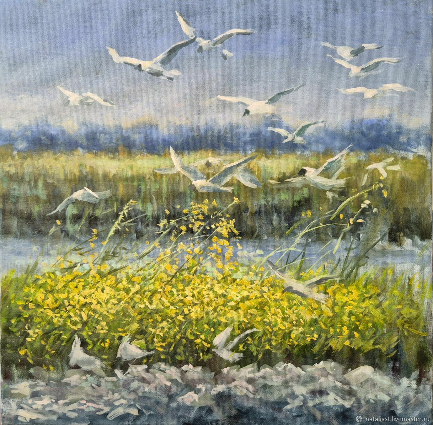 Картины: полет