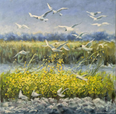 Картины: полет - превью 2