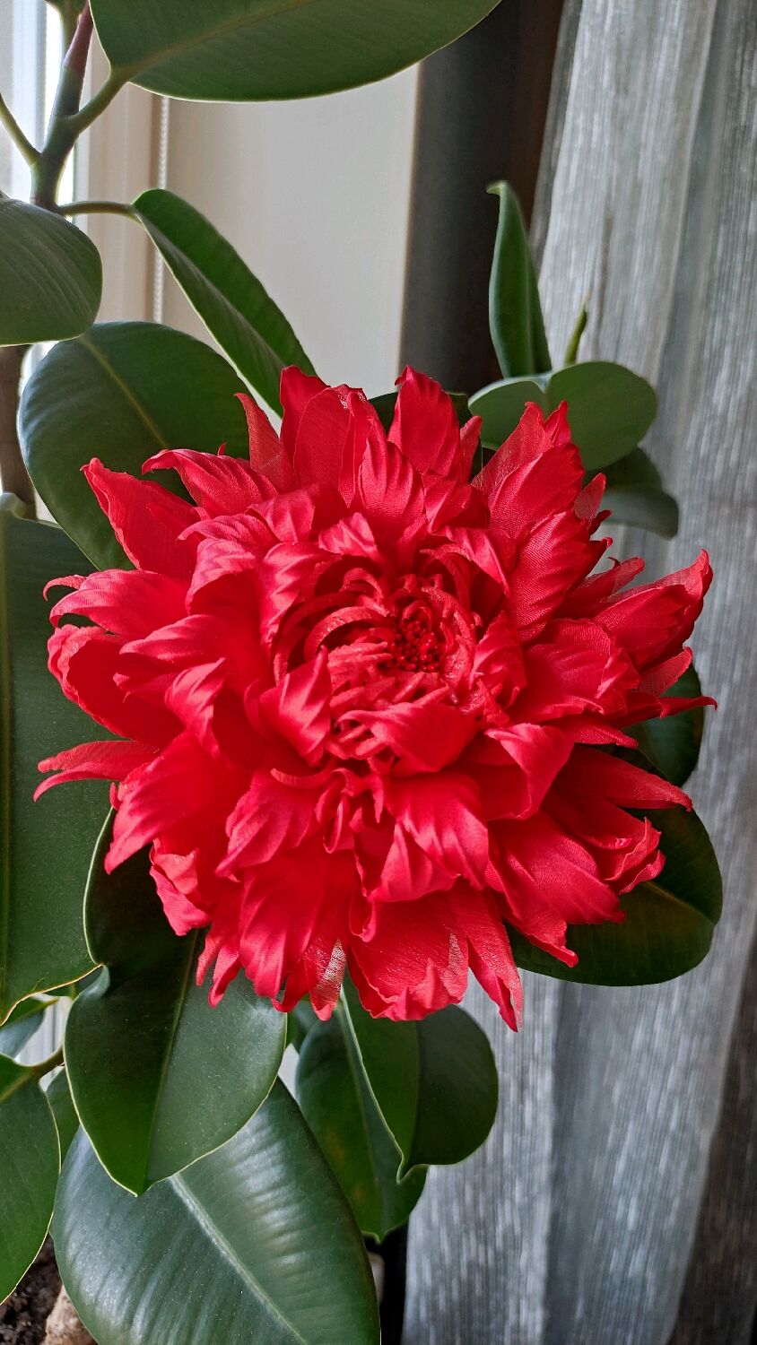 Брошь цветок астра - 1