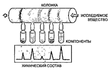 Методы изучения биологии