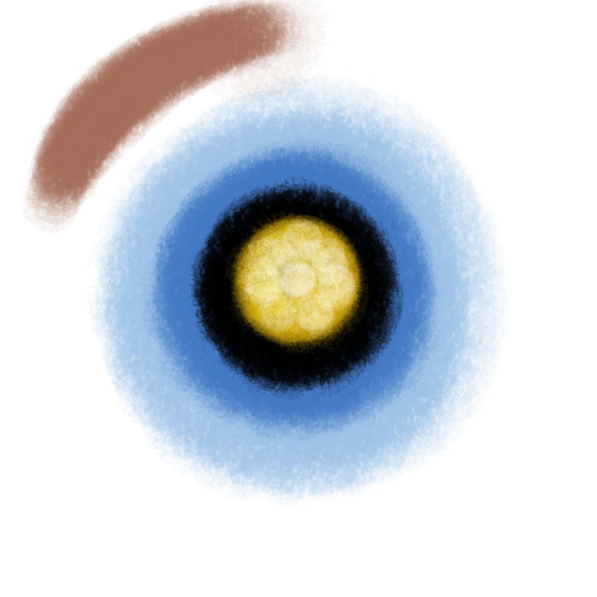 Eye