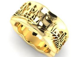 RingS 166 3D модель