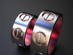 Кольца с болтом 3D модель