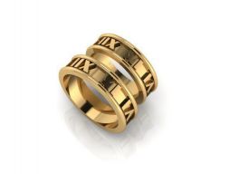 Прополочные кольца 66 3D модель