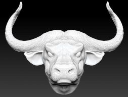 3D модель головы рогатого быка