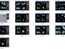 Коллекция-Серьги Объемные-0005-3dm без камней-13 Файлов 3D модель