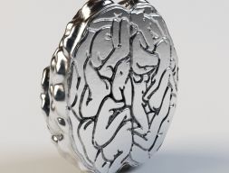 3D модель мозга