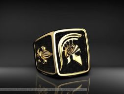 Кольцо Спартанец 3D модель