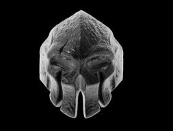 спартанский шлем 3D модель