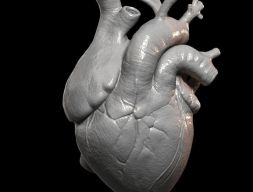 Сердце Принт 3D модель