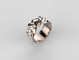 R-21Ring 3D модель 3D модель