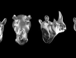 Кольцо носорога 3D модель