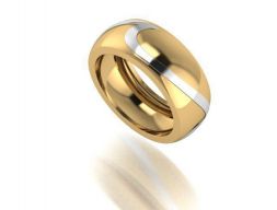 RING06 3D модель