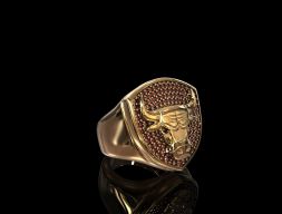 Кольцо Чикаго Буллз 3D модель