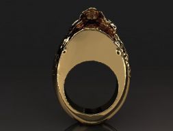 Ring cranium 011 3D print model