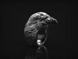 Кольцо орла 3D модель