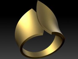 кольцо абстрактная форма 3D модель